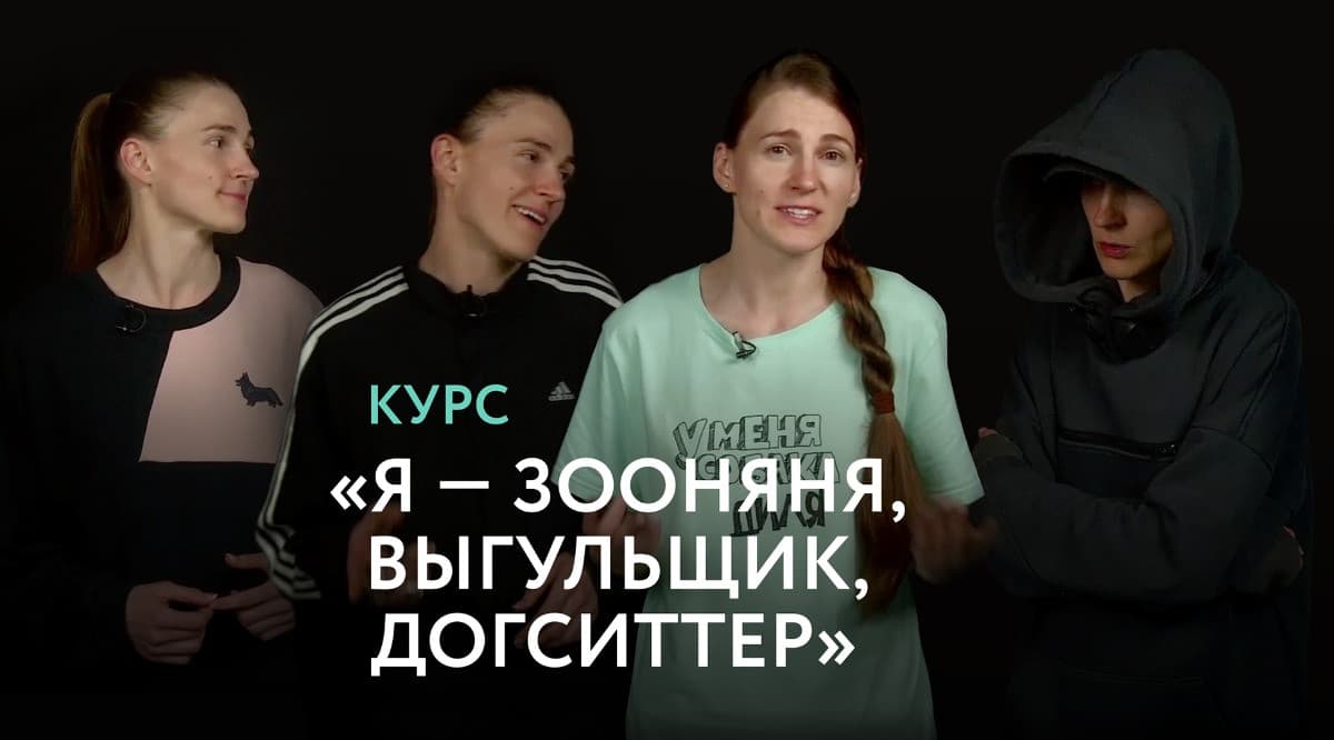 Я — зооняня, выгульщик, догситтер